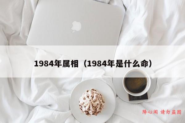 1984年属相（1984年是什么命）