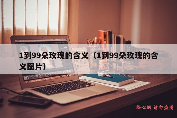 1到99朵玫瑰的含义（1到99朵玫瑰的含义图片）