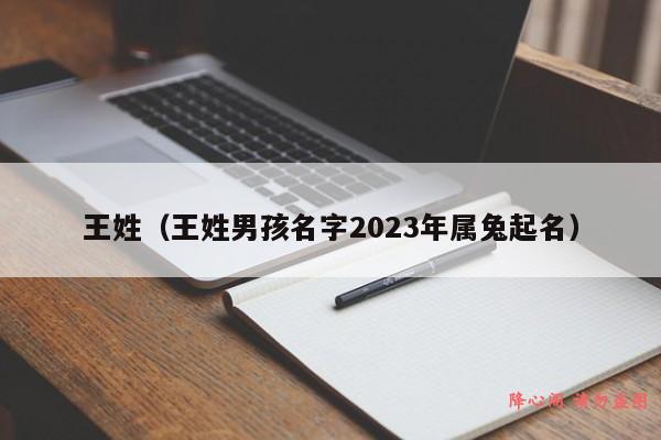 王姓（王姓男孩名字2023年属兔起名）