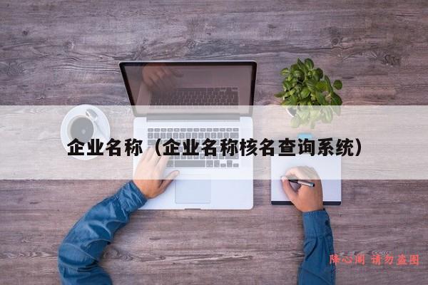 企业名称（企业名称核名查询系统）