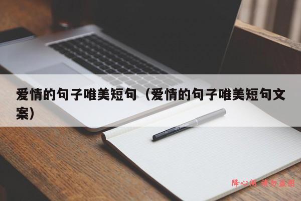 爱情的句子唯美短句（爱情的句子唯美短句文案）