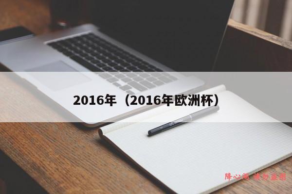 2016年（2016年欧洲杯）