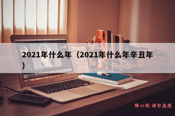 2021年什么年（2021年什么年辛丑年）