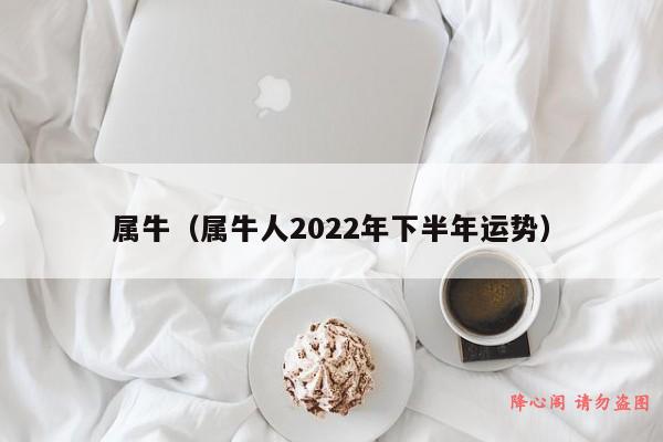 属牛（属牛人2022年下半年运势）