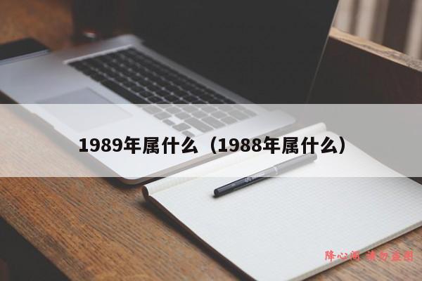 1989年属什么（1988年属什么）