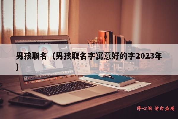 男孩取名（男孩取名字寓意好的字2023年）