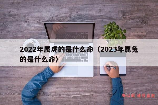 2022年属虎的是什么命（2023年属兔的是什么命）