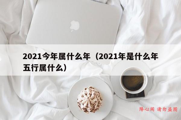 2021今年属什么年（2021年是什么年五行属什么）