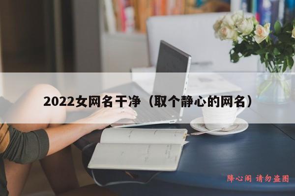 2022女网名干净（取个静心的网名）