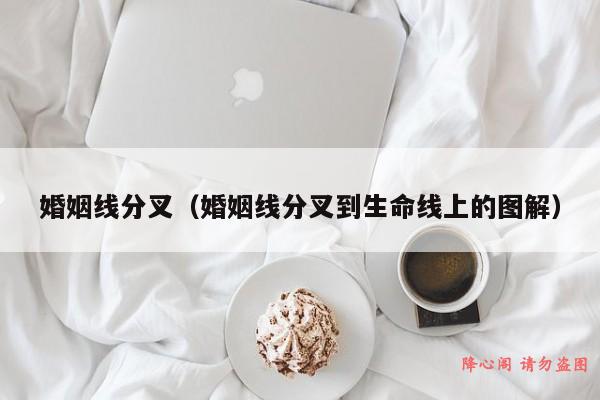 婚姻线分叉（婚姻线分叉到生命线上的图解）