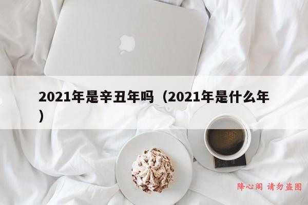 2021年是辛丑年吗（2021年是什么年）