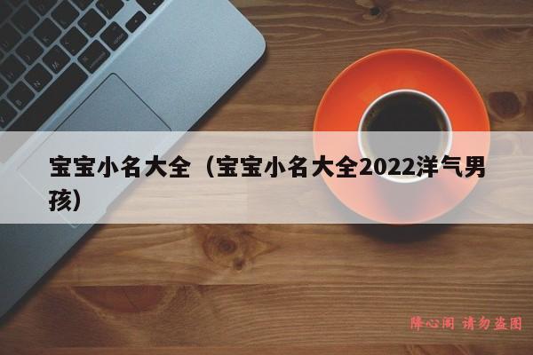 宝宝小名大全（宝宝小名大全2022洋气男孩）