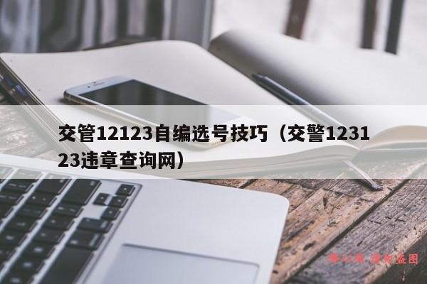 交管12123自编选号技巧（交警123123违章查询网）