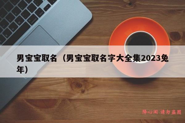 男宝宝取名（男宝宝取名字大全集2023兔年）